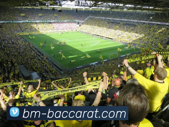 百家乐官网的公司拥有完善的物流配送网络，确保产品能够快速、安全地送达客户手中。的物流服务让客户享受便捷、无忧的购物体验。百家乐平台百家乐集团官网APP 封面图